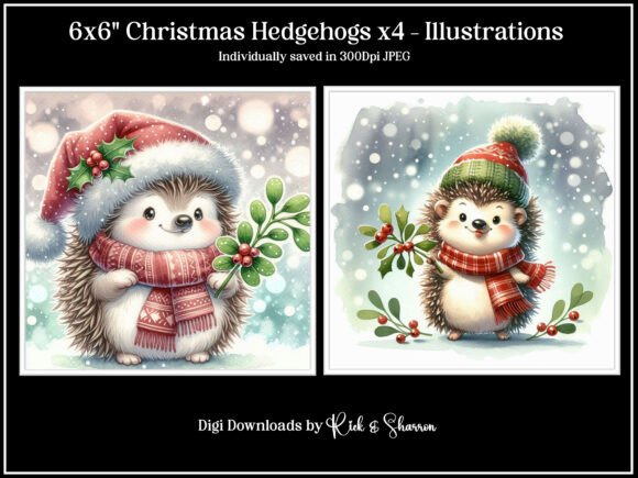 6x6 Christmas Hedgehogs X4 Illustrations for Festive Design